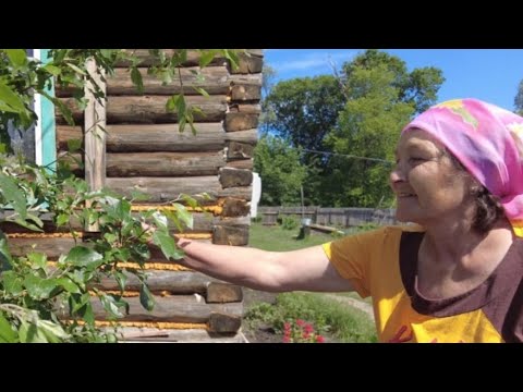 Видео: Визит в усадьбу в с. Ташла!