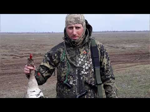 Видео: Охота на гуся и утку 2020. Костюм и обувь для охоты