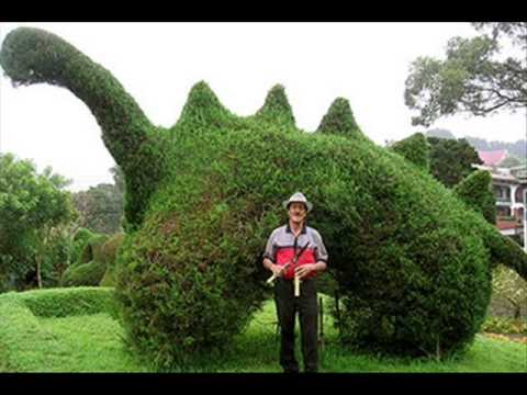 Видео: Посмотрите Вахтанг Кикабидзе