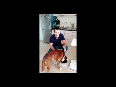 Видео: Ритуал за хранене