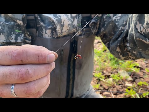 Видео: Самая лучшая и простая снасть - настрой  на Хариуса и Ленка !