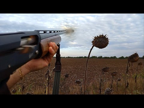 Видео: Лов на Гривяк и Гургулица (презареждане) HD