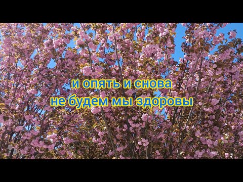 Видео: 12 сентября 2025.Ну опять и снова,ну никак не выходит.