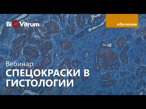 Видео: Специальные методы окраски в гистологии