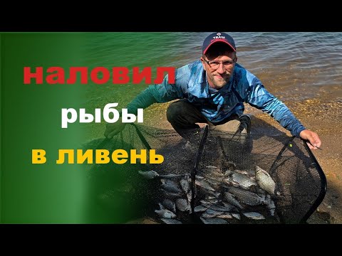 Видео: Наловил рыбы в ливень на водохранилище