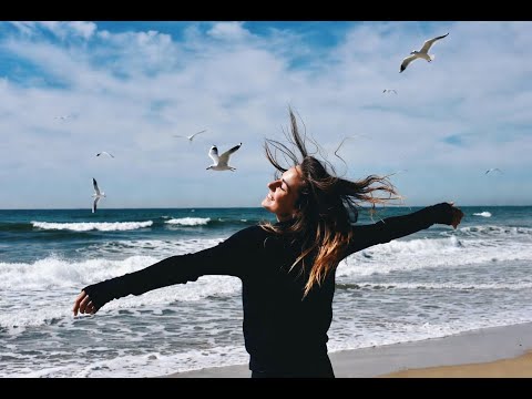 Видео: Осень