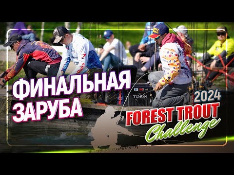 Видео: Финал FOREST TROUT CHALLENGE. Весна 2024. Стадия ПЛЕЙ-ОФФ