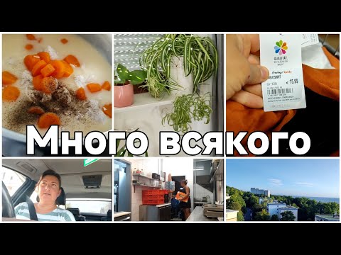 Видео: #dailyvlog / утром на работе/ ухаживаю за цветами/ готовлю вкусный обед / моя работа в магазине