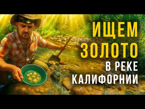 Видео: Старатели в Калифорнии — сколько золота мы нашли в реке?