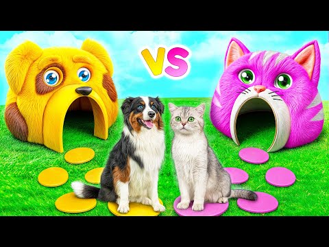 Видео: Строим Домики для Животных | Сумасшедший Челлендж от Multi DO Smile