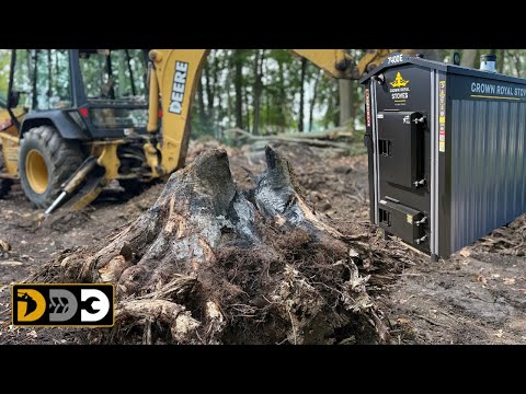 Видео: Выкапываю пни, чтобы топить дровяную печь на открытом воздухе