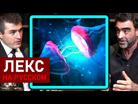 Видео: Как возникает сознание в мозге | Лекс Фридман Подкаст