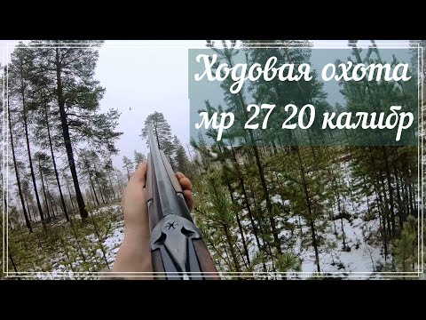 Видео: охота на боровую дичь, об оружии