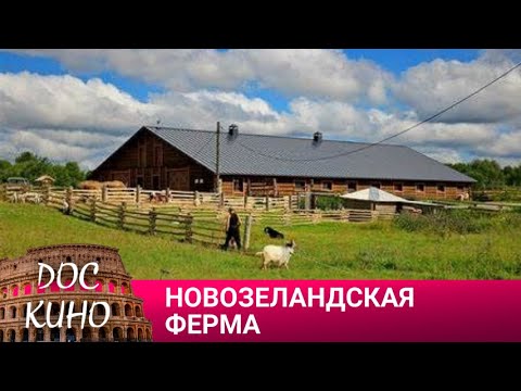 Видео: 🎭НОВОЗЕЛАНДСКАЯ ФЕРМА🌎 ДОКУМЕНТАЛЬНОЕ КИНО 🎆 2022