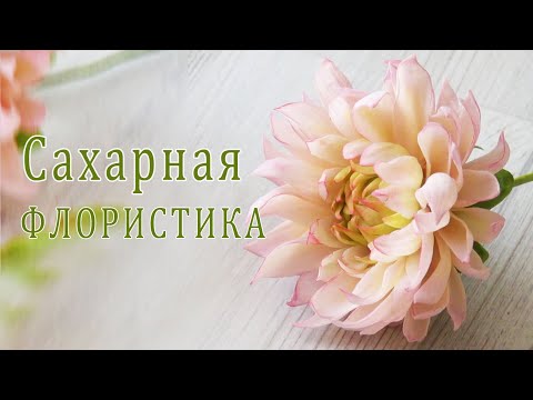 Видео: Цветок Георгин из СХАРНОЙ МАСТИКИ/Sugar floristry/Floristería de azúcar