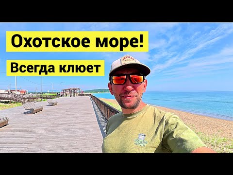 Видео: В Охотском море всегда клюёт! Рыбалка с берега!