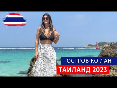Видео: ОСТРОВ КО ЛАН. РЫБНЫЙ РЫНОК. УСТРИЦЫ ПО 1,2 ДОЛЛАРА. ТАИЛАНД 2023.