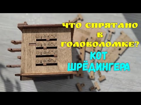 Видео: Решение головоломки Кот Шрёдингера
