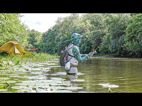 Видео: РИБОЛОВЛЯ 🐟 ВІДПОЧИНОК ⛺️ СМАЧНЕНЬКЕ 🍔 НАОДИНЦІ  З СОБОЮ!!!