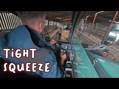 Видео: Расчет стоимости нашего РЕШЕТЧАТОГО САРАЯ для более чем 100 голов крупного рогатого скота!