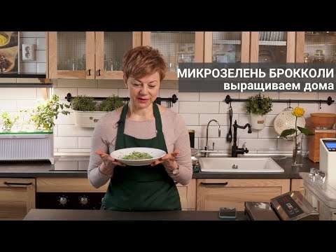 Видео: Выращиваем микрозелень брокколи дома