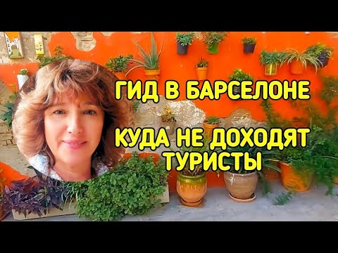 Видео: Гид в Барселоне.            Куда не доходят туристы.