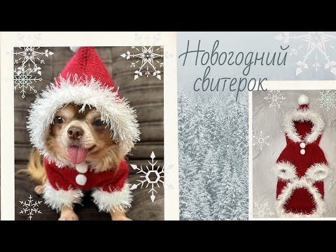 Видео: Мастер класс свитер для собаки/ Свитер для собаки с капюшоном/реглан для собаки/
