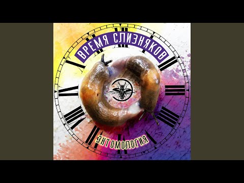 Видео: Время слизняков