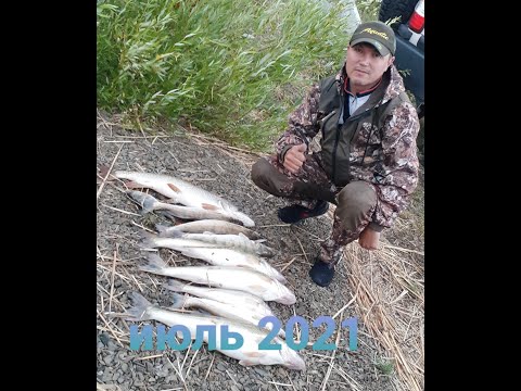 Видео: Один день из жизни спиннингиста. Уловистая рыбалка июль 2021