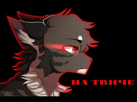 Видео: [Warrior cats /коты воители] ~клип ~{на твиче} /Ч. О/