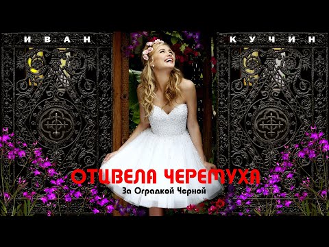 Видео: Иван Кучин - Отцвела Черемуха