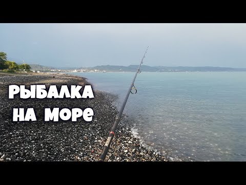 Видео: Рыбалка в Абхазии. Что ловится на море.
