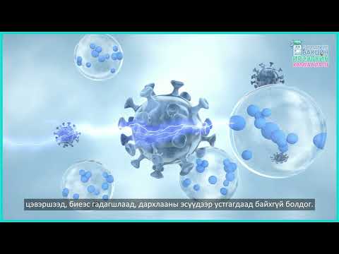 Видео: Н.Эрдэнэхүү:  Бид энэ вакциныг охиндоо, хүүдээ аль алинд нь хийлгэх хэрэгтэй.
