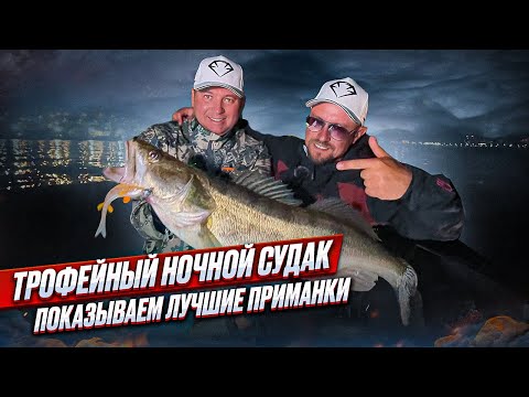 Видео: НОЧНАЯ РЫБАЛКА НА СУДАКА | ТОП лучших приманок для поимки ТРОФЕЯ 