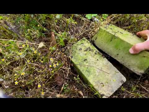 Видео: Уничтожил хрен массово появившийся на грядках без химии и затрат, нетрадиционным методом.  Мой ла...