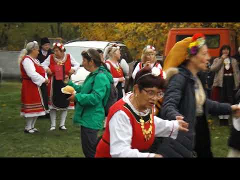 Видео: моменти от фестивала на Дъбенското зеле 08.11.2025 г