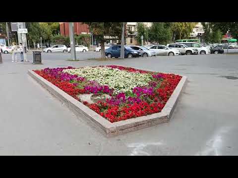 Видео: Пешком по золотым листьям Тюмени 🍁🍂🍂