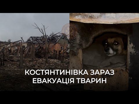 Видео: КОСТЯНТИНІВКА ЗАРАЗ | ЕВАКУАЦІЯ ТВАРИН