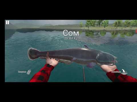 Видео: Ultimate Fishing Simulator поймал карпа на 19 кг#