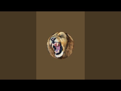 Видео: ТОМНИ ОЙИН efirda!