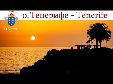 Видео: Тенерифе, день 9-ый: Отдых для меня и моих зрителей - решил НИЧЕГО не снимать!🤣  | Tenerife, España