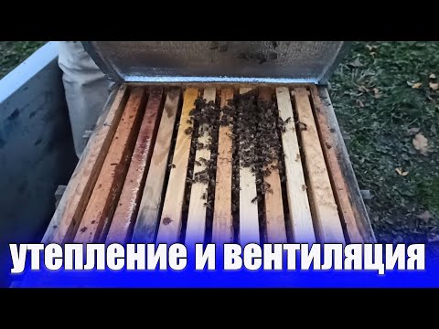 Видео: Утепление пчел зимой+ вентиляция улья