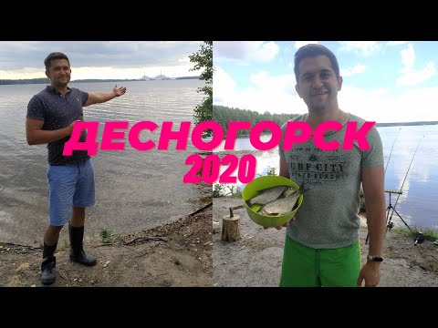 Видео: Десногорск 2020 | Рыбалка в атомном водохранилище