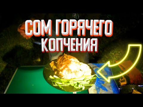 Видео: Сом горячего копчения.Лучший способ!