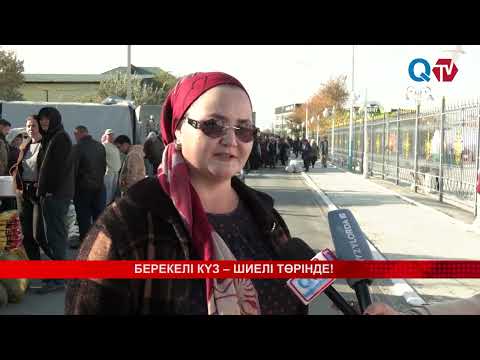 Видео: Берекелі күз – Шиелі төрінде!