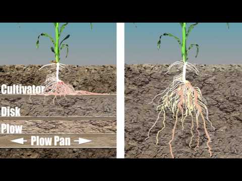 Видео: Принципы вертикальной почвообработки /Vertical Tillage Principles