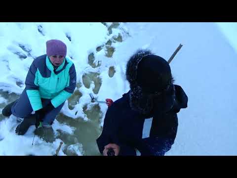 Видео: Обыкновенный день отдыха пенсионеров в декабре #2