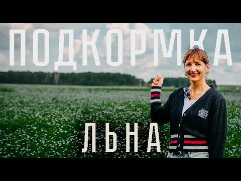 Видео: ЛЁН в цветении — не упусти момент! Подкормка, которая работает