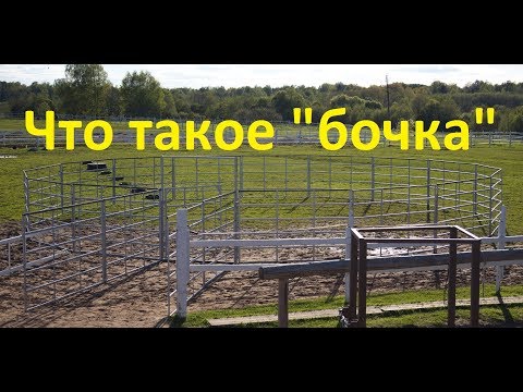 Видео: Что такое "бочка" для работы с лошадьми.