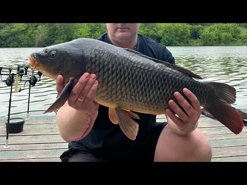 Видео: Карповая рыбалка ! Рыбалка с домиками ! Ловля Карпа ! Кукуруза рулет ! Ловля карпа на кукурузу !